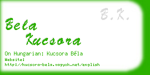 bela kucsora business card